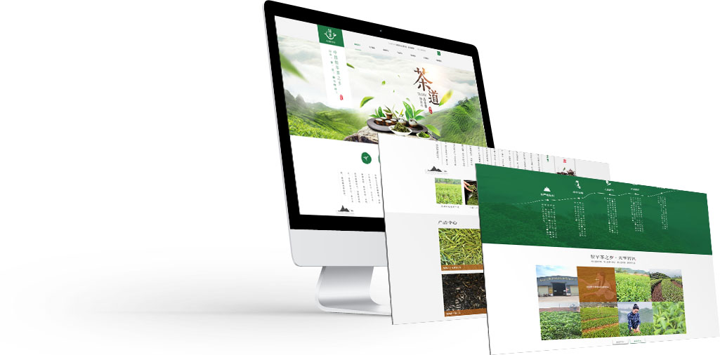 個性化設(shè)計(jì)塑造企業(yè)形象 大浪科技品牌網(wǎng)站建設(shè)