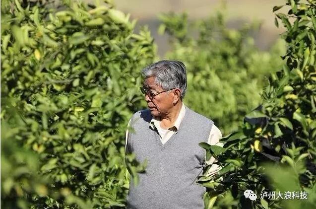 創(chuàng)業(yè)是一場馬拉松，你能堅持多久？